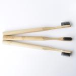 Bamboo Toothbrush with Charcoal Bristles